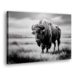 The Big Buffalo