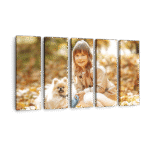 5 Piece Split Canvas