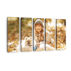 5 Piece Split Canvas